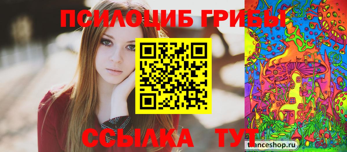 Псилоцибиновые грибы мицелий Чехов