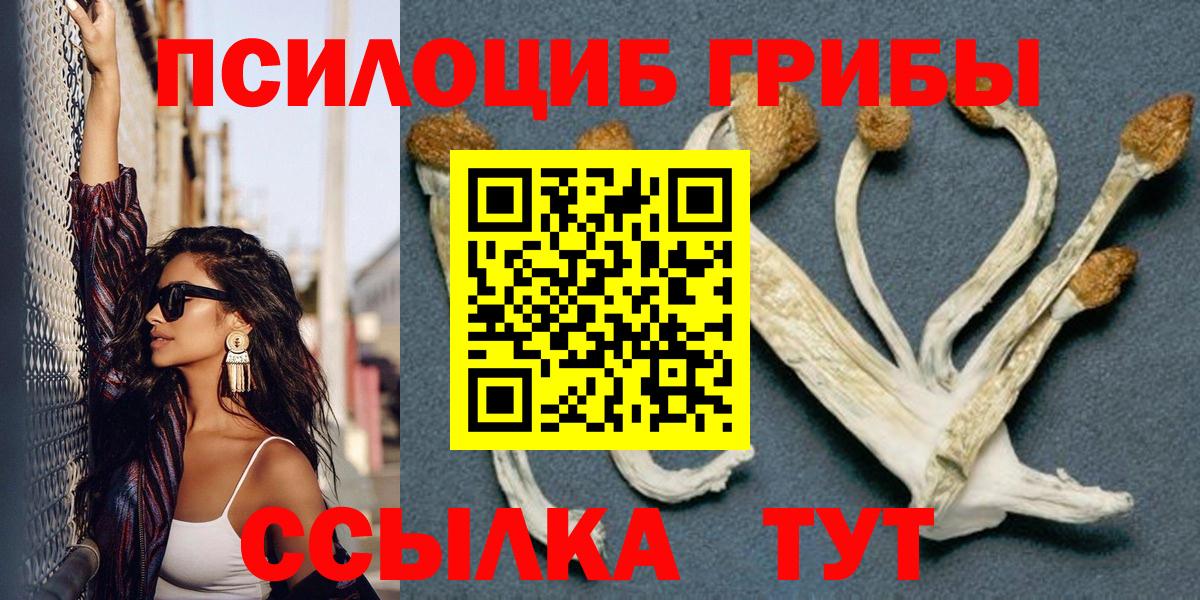 Чехов  Галлюциногенные грибы Psilocybine cubensis  Псилоцибиновые грибы MAGIC MUSHROOMS  где купить наркотик  Вход с VPN 